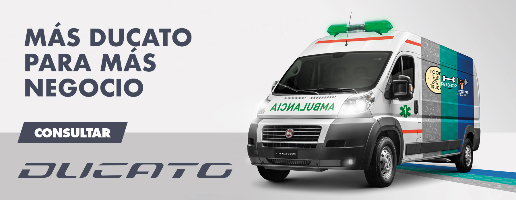 ducato