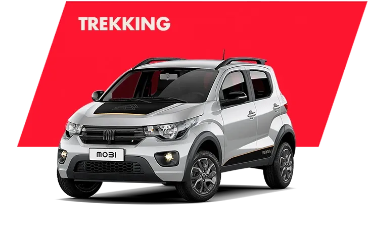 Fiat Mobi Trekking Gris